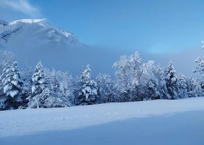 Maison Authentique En Ubaye *